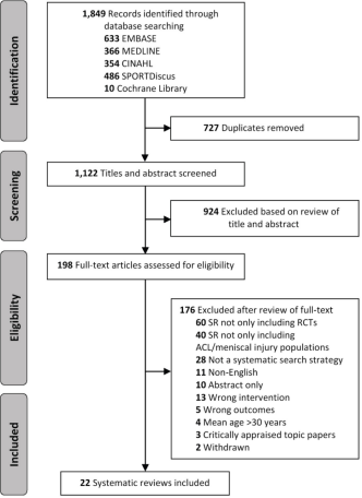 ACL and meniscal injuries: Best evidence synthesis of systematic ...